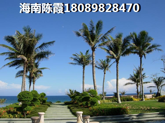 快手分享今日怎么弄掉