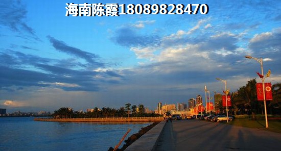 文县正宗小吃前10名排行榜（文县美食街）