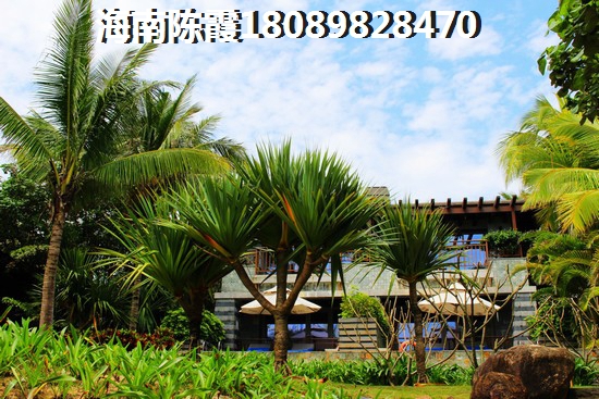 琵琶湖景区附近有什么酒店吗