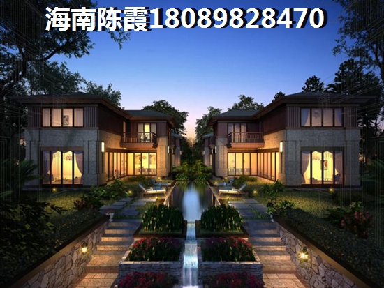 海南保亭醉有生纸潜力的房产